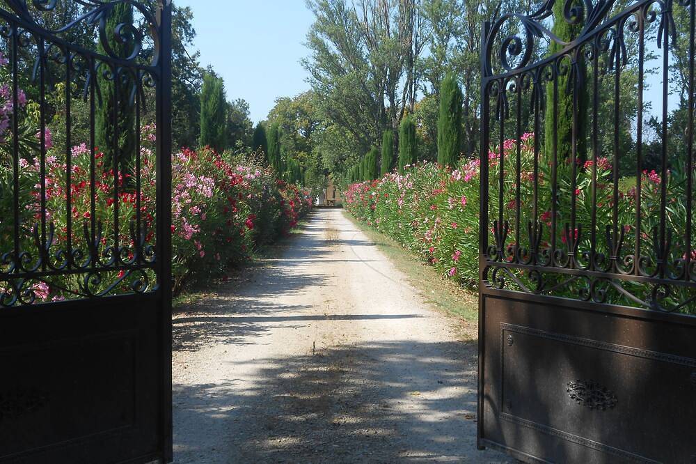 En Terre de Provence, le Mas Valérian in Mollégès, Région d'Arles