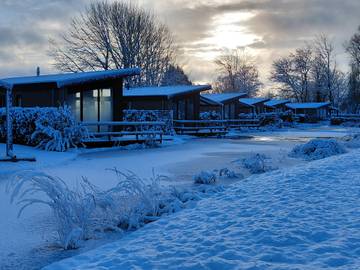 Lodge voor 4 Personen in Veluwe, Gelderland, Afbeelding 1
