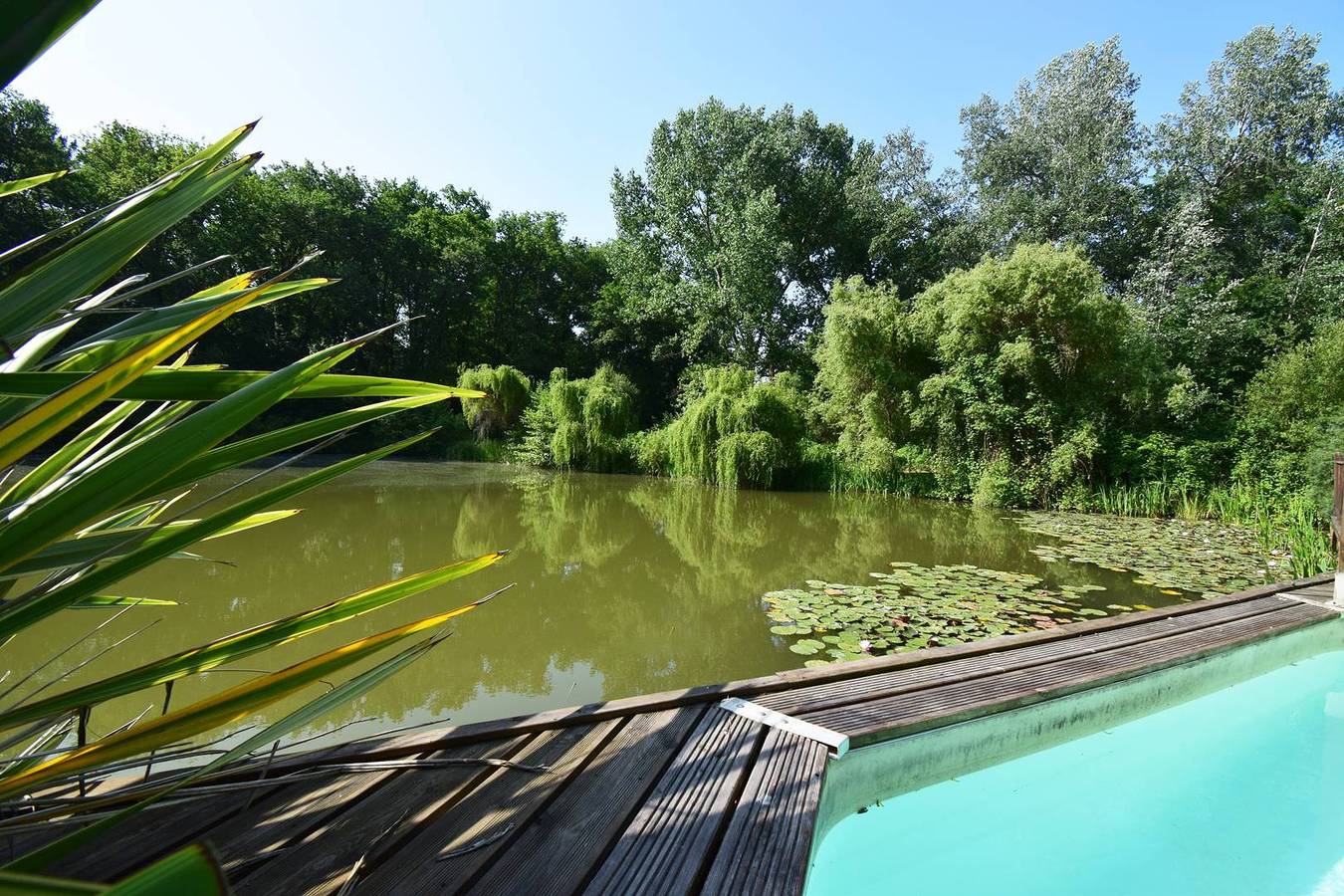 Chalet für 4 Personen mit Pool in Sos, Nérac und Umgebung