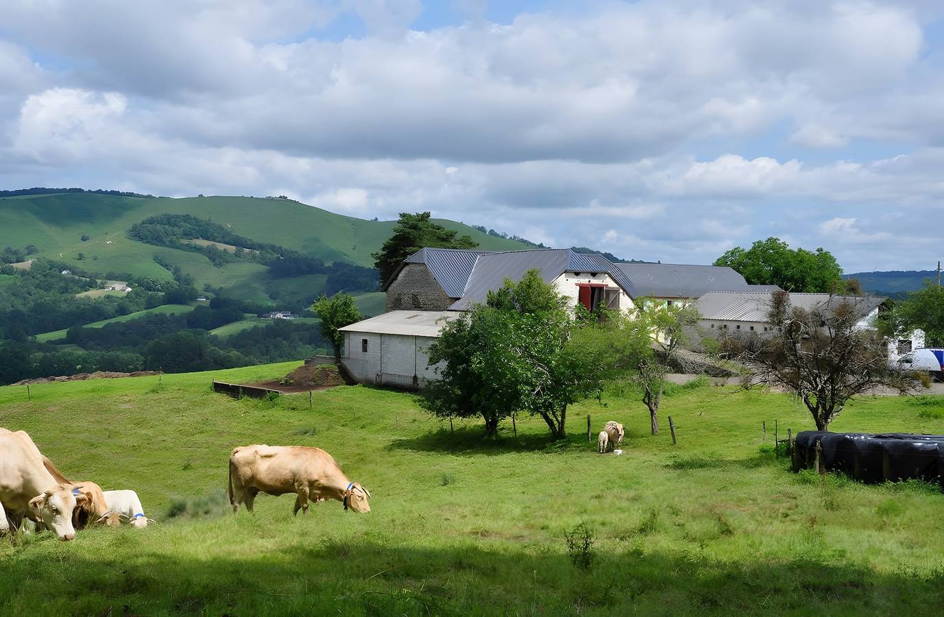 Gîte Coig de Lamothe – Natura, comfort ed evasione nel cuore dei Pirenei in Aramits, Béarn
