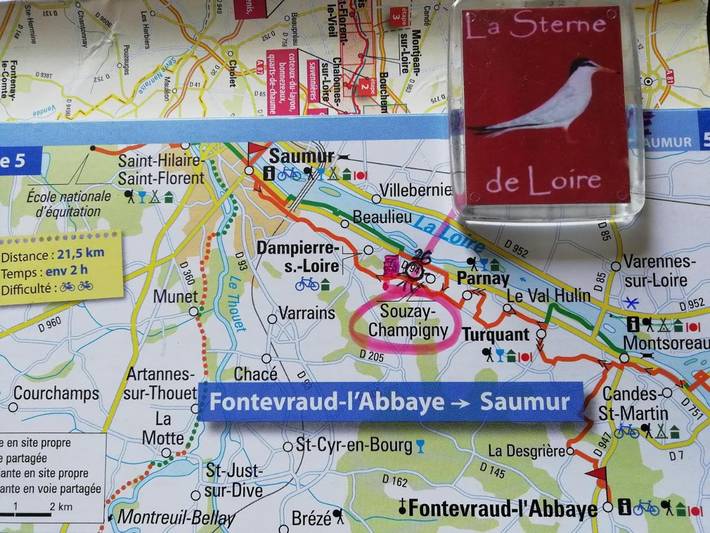 Gîte pour 3 personnes, avec terrasse à Souzay-Champigny - 2