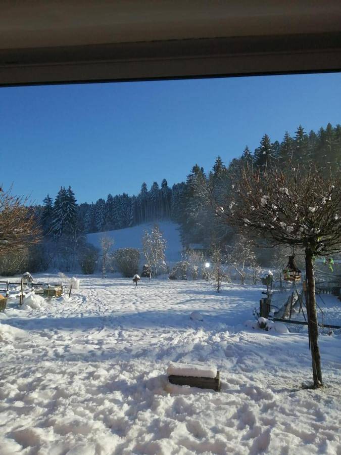 Gîte pour 6 personnes, avec vue et jardin à Chaux-des-Crotenay - 4