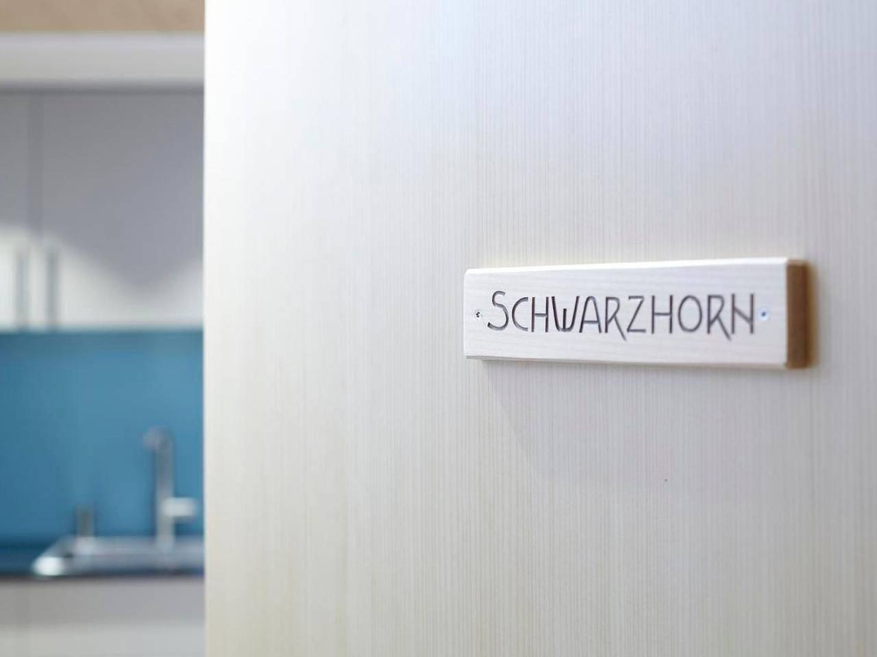 Ganze Wohnung, Schwarzhorn in Brienzwiler, Berner Oberland