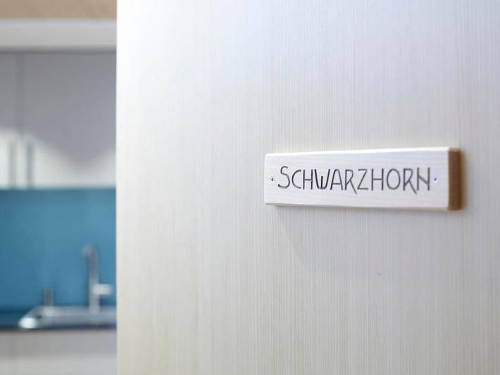 Gîte pour 2 personnes, avec jardin à Brienzwiler - 3