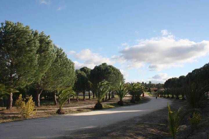 Gästehaus für 2 Personen, mit Balkon und Terrasse sowie Garten und Pool in Alentejo - 2