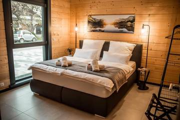 Gîte pour 6 personnes, avec jardin et vue, animaux acceptés à Offenbourg