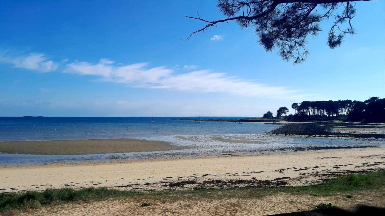 Double Room with Private Bathroom in Crach, Côte des Mégalithes