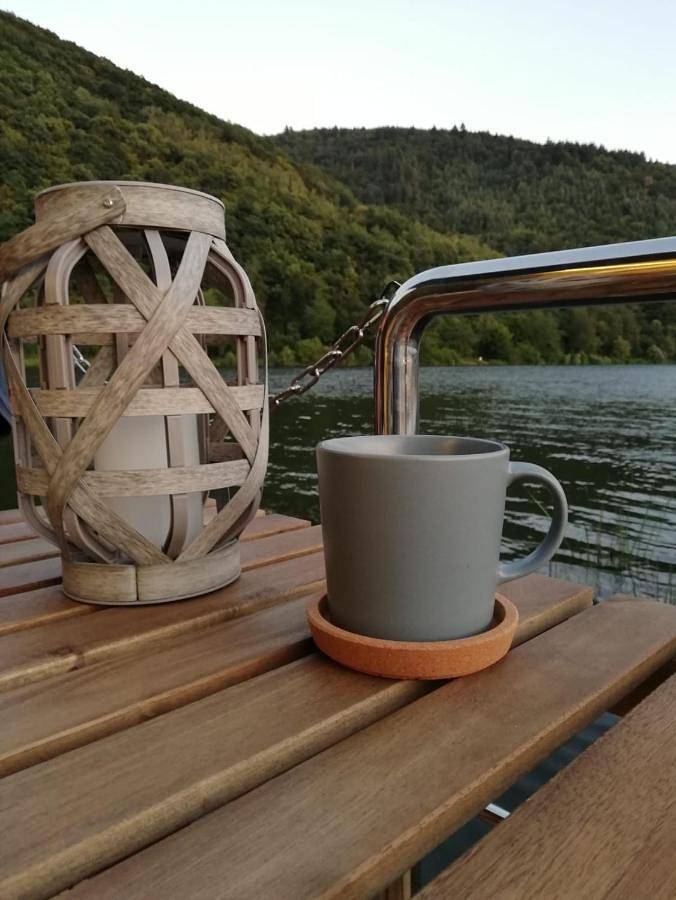 Hausboot auf der Mosel in Pölich, Moseleifel