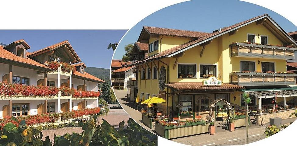 Hôtel, avec Balcon/Terrasse et Terrasse ainsi que Jardin et Piscine à Bodenmais
