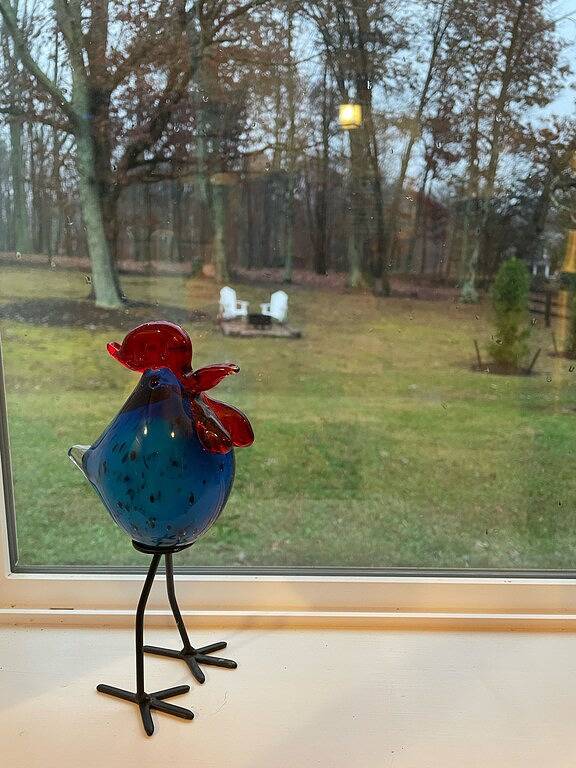 Ganze Wohnung, Verstecktes Edelstein Mit Blick! Weingüter, Clifton Inn, Monticello, Trump Winery, Uva in Albemarle County