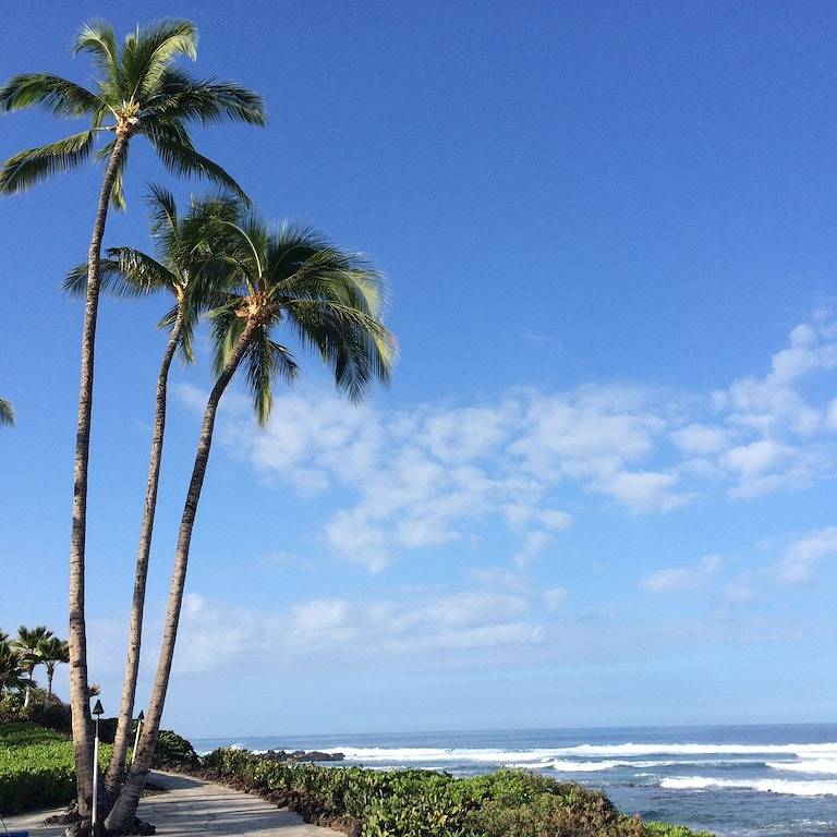 Villa for 5 Guests in Puako, Island of Hawaii