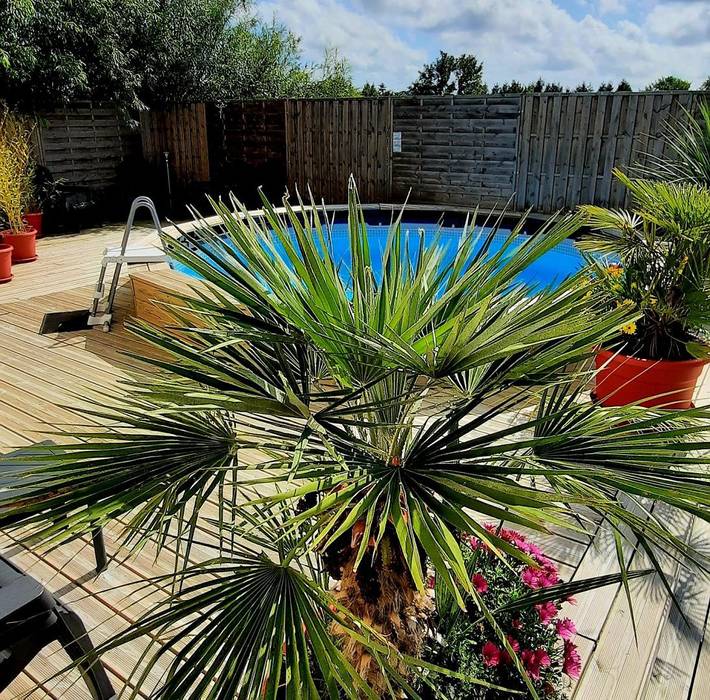 Chambre d’hôte pour 2 personnes, avec piscine et jardin ainsi que jacuzzi et terrasse en Normandie - 2