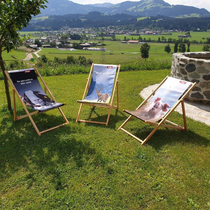 Ferienwohnung für 4 Personen, mit Balkon und Garten in Oberndorf in Tirol - 2