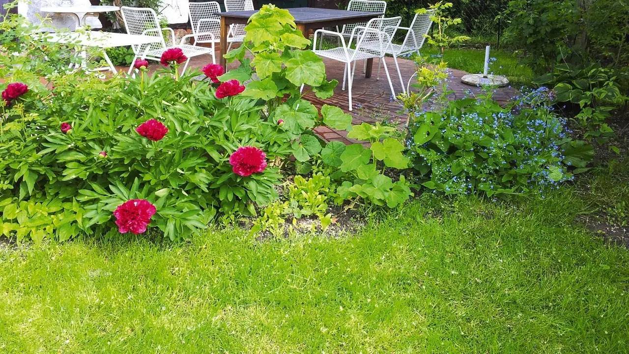 Ferienhaus für 14 Personen (195 m²) in Upost in Warrenzin, Mecklenburgische Seenplatte