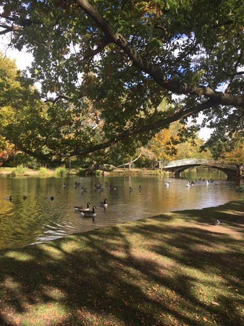 Gîte pour 7 personnes, avec vue et jardin, animaux acceptés à Le Pecq - 3