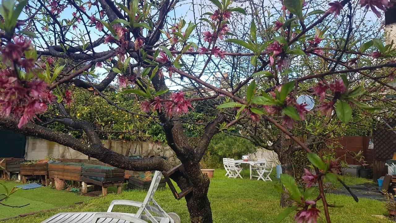 1er etage privatif dans une maison in La Colle-sur-Loup, Côte méditerranéenne (France)