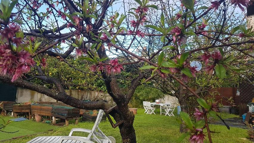 Maison d’hôte pour 2 personnes, avec vue, animaux acceptés à La Colle-sur-Loup - 2