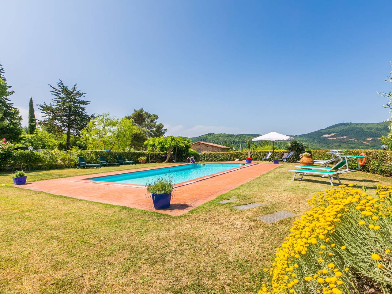 Pino di Sopra in Riserva Naturale di Monterufoli