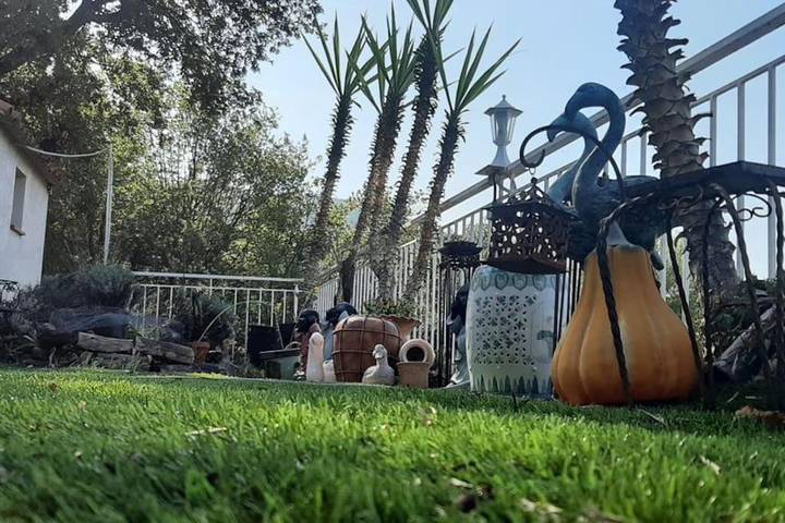 Gîte pour 6 personnes, avec piscine et terrasse ainsi que vue et jardin à Levens - 4
