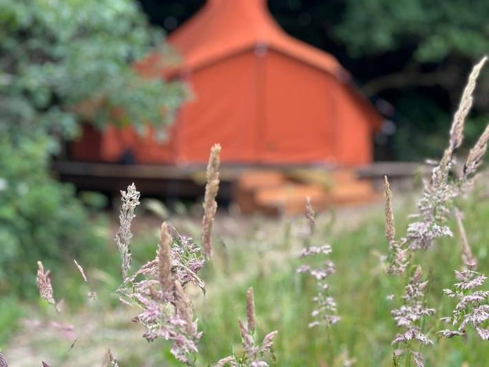 Glamping voor 4 personen, met tuin en uitzicht in Nederlandse waddeneilanden
