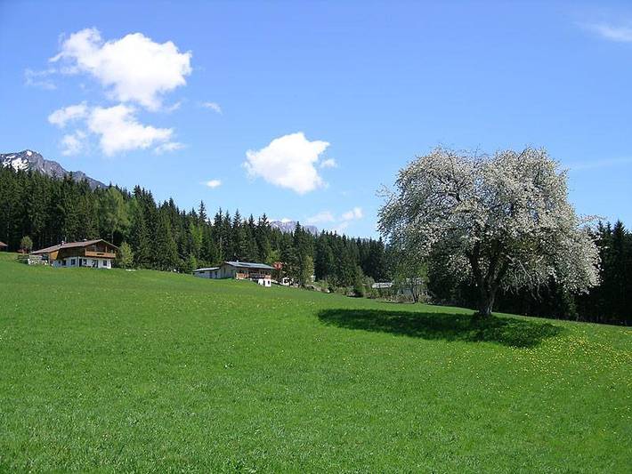 Ferienwohnung für 6 Personen, mit Terrasse in Ramsau am Dachstein - 2