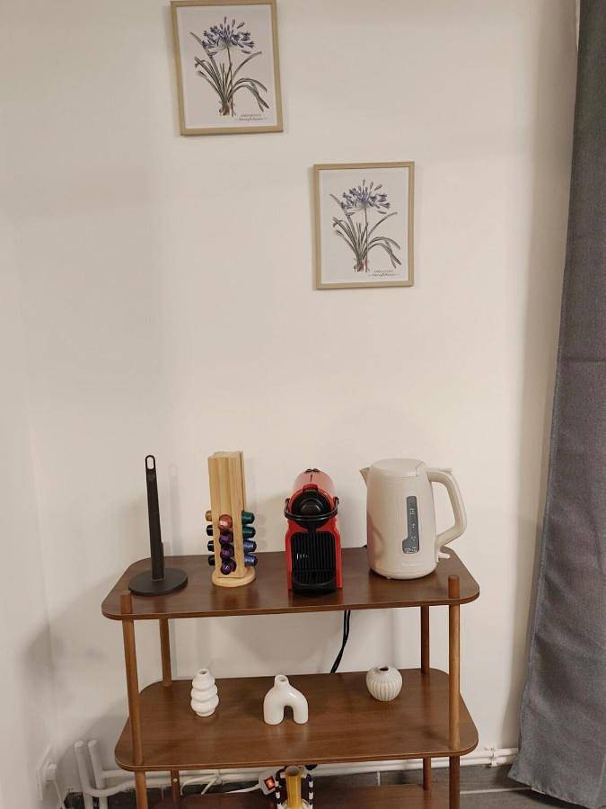 Appartement entier, One-Bedroom Apartment in Yutz, Moselle