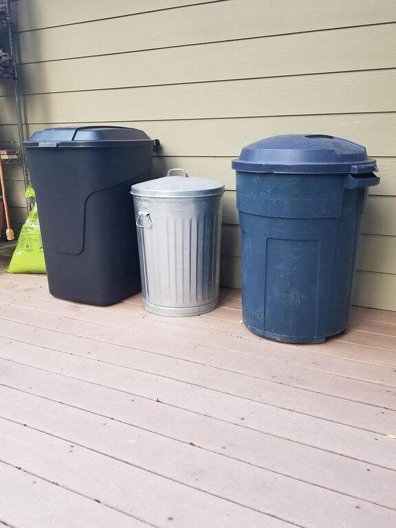 Vorgebirge hideaway 3 Schlafzimmer 2 Bäder 2300 sf in Hurricane Ridge