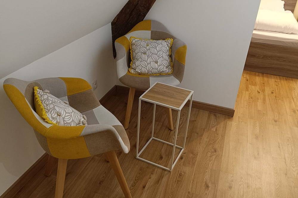 Very charming town house in Saint-Aignan, Región de Romorantin-Lanthenay
