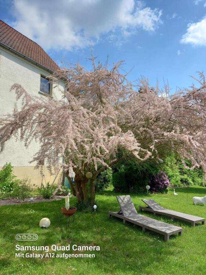 Ganze Wohnung, Sylvias Burgblick in Trausnitz, Naturpark Oberpfälzer Wald
