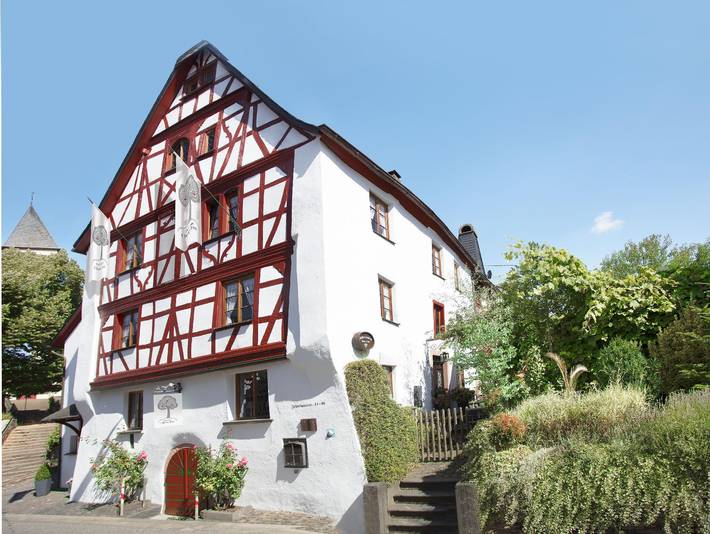 Ferienhaus für 15 Personen, mit Terrasse und Garten in Rheinland-Pfalz - 2