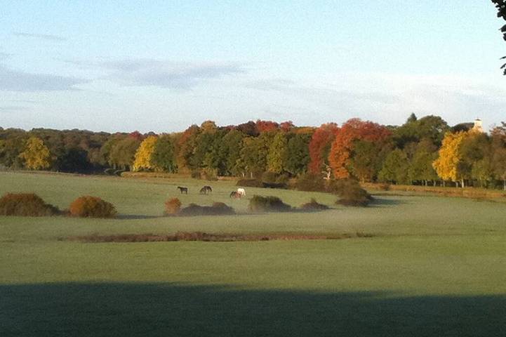 Location de vacances pour 10 personnes à Plessé