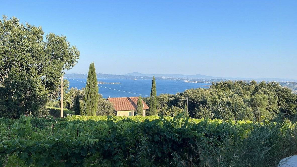 Haus inmitten der regenerativen Weinberge von Bolsena in Latera, Viterbo Provinz