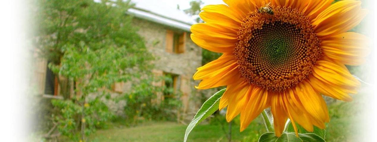 Location de vacances pour 4 personnes, avec jardin et terrasse à Crévoux - 2