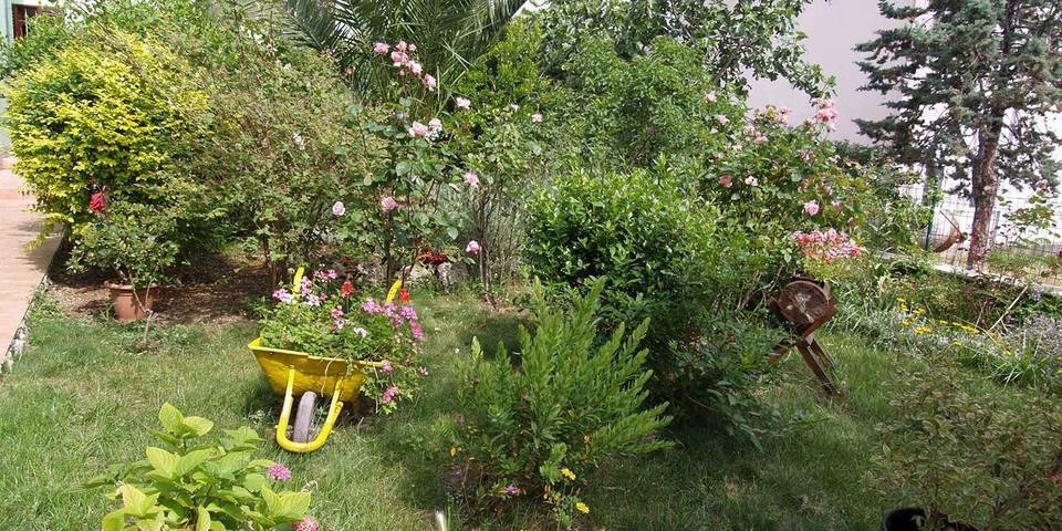 Ferienwohnung für 5 Personen, mit Garten in Veli Losinj - 4