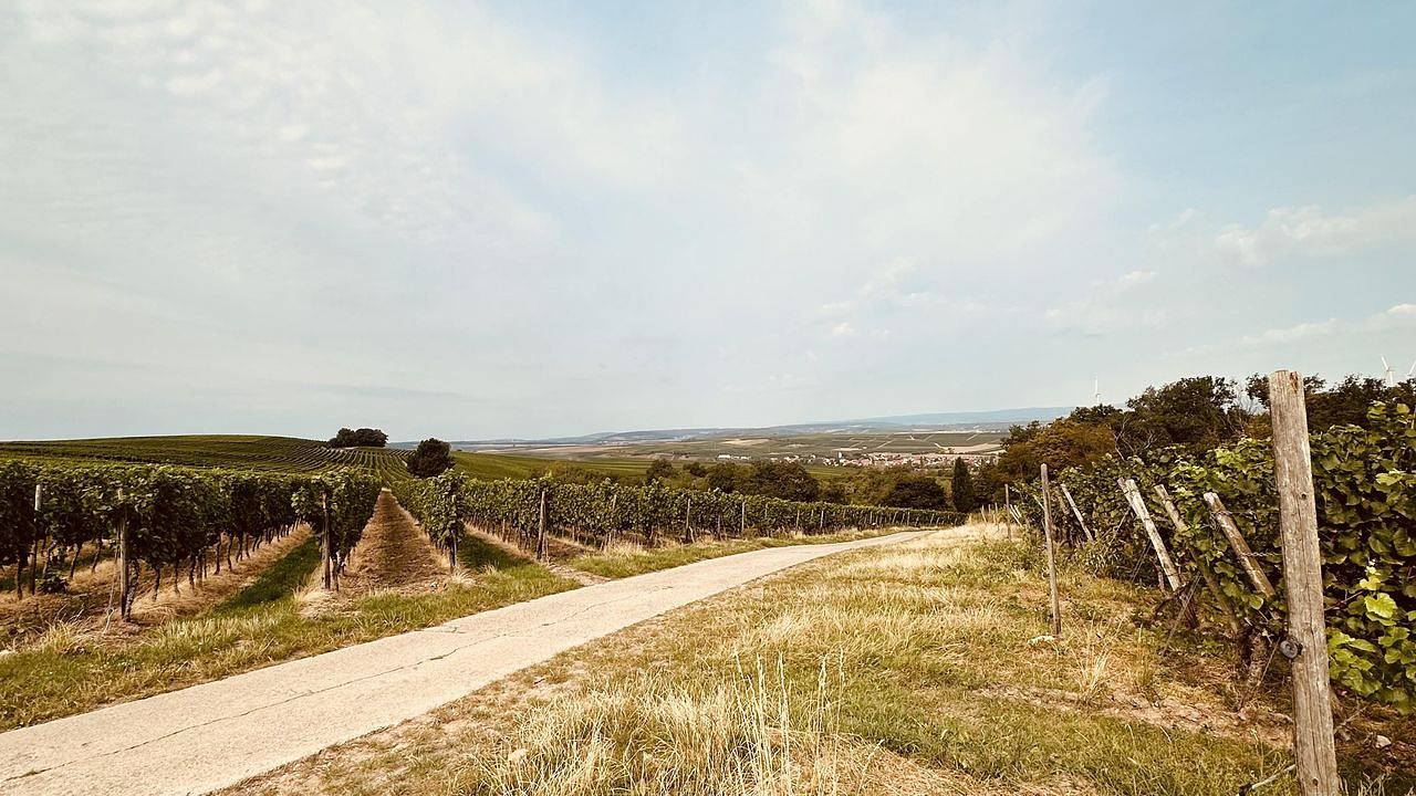 Appartamento intero, Ferienwohnung für 2 Personen (25 m²) in Wörrstadt in Wörrstadt, Rheinhessen e dintorni