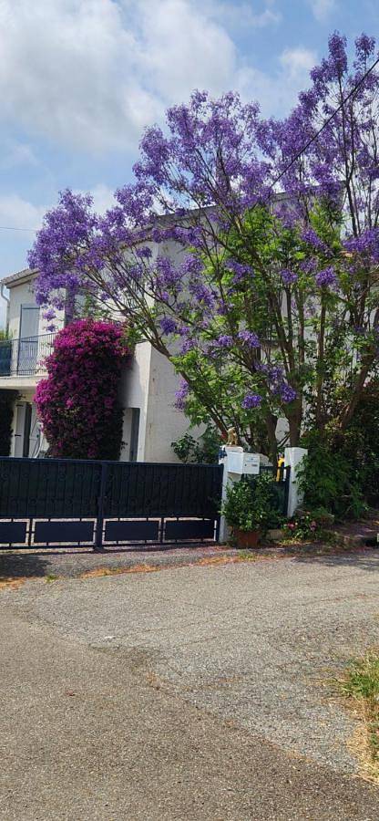 Gîte pour 4 personnes, avec jardin et vue à Pietroso - 2