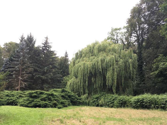 Ferienwohnung für 4 Personen, mit Balkon und Garten, kinderfreundlich in Holsteinische Schweiz - 3