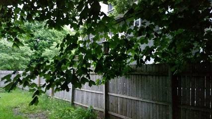 Vacation House for 6 Guests in Lake Michigan, Indiana, Picture 2