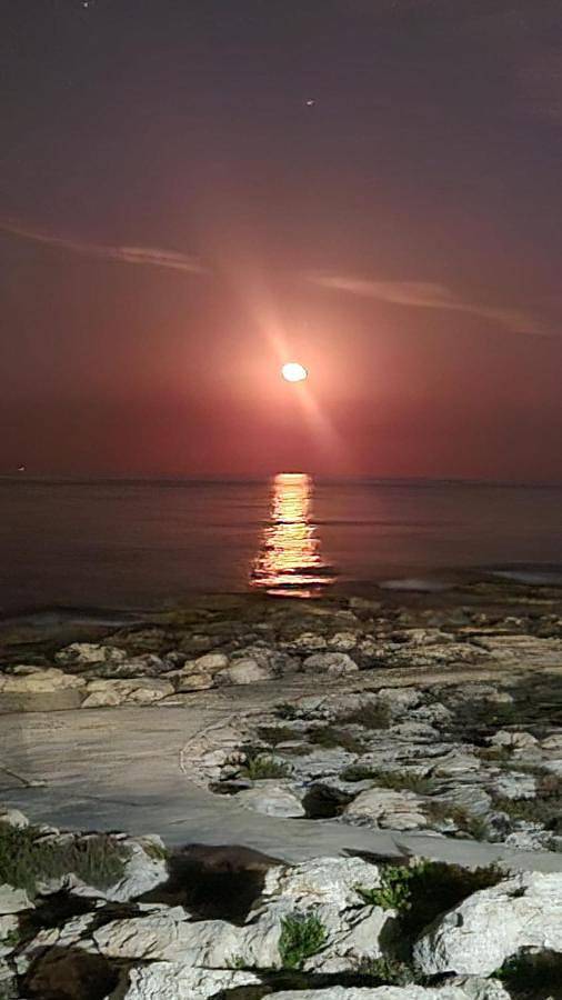 Bungalow für 4 Personen, mit Terrasse und Ausblick auf Malta - 4