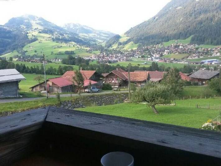 Ganze Wohnung, Mannried 2 1/2-Zimmerwohnung "Rustikal" in Zweisimmen, Frutigen - Lenk - Adelboden