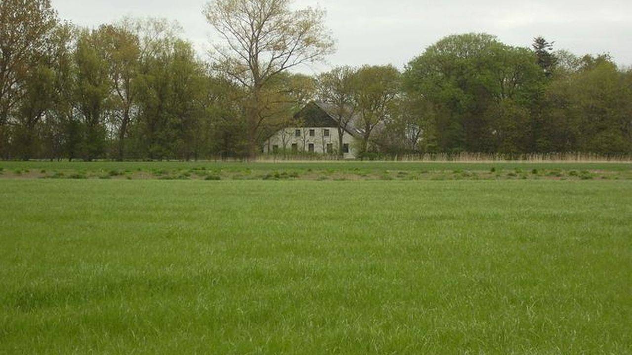 Hauptbild