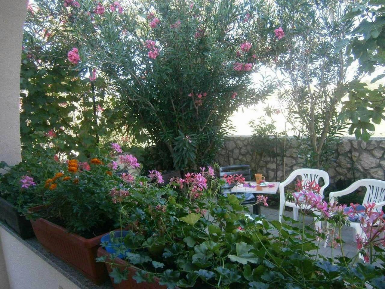 Entire apartment, One bedroom apartment with terrace Privlaka, Zadar A-24002-b in Privlaka, Zadar