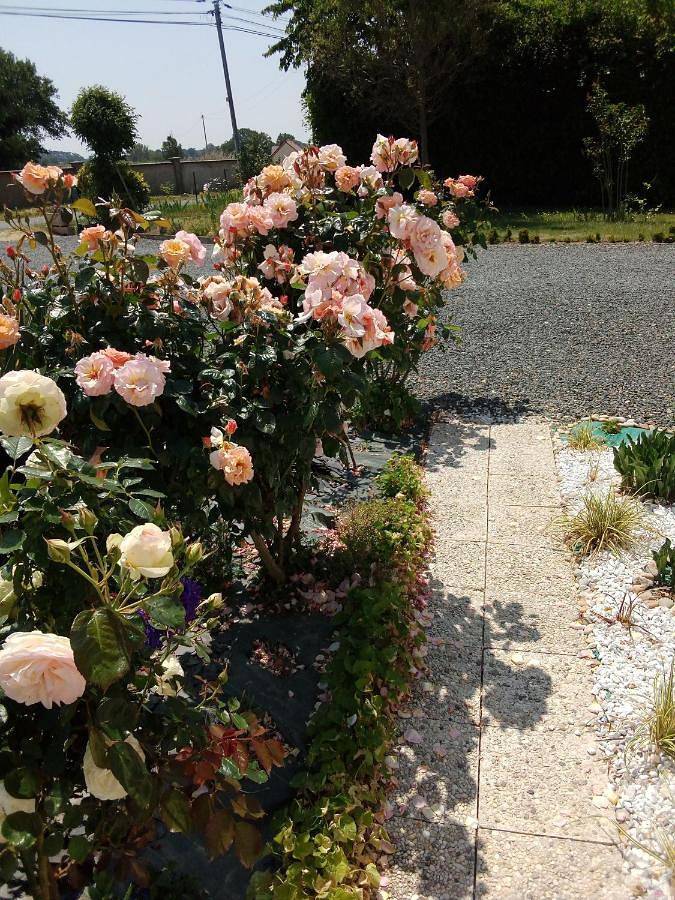 Location de vacances pour 2 personnes à Saint-Mars-d'Outillé - 3