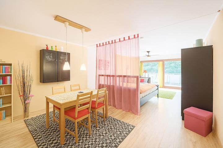 Studio für 4 Personen, mit Sauna, mit Haustier in Schönwald - 4
