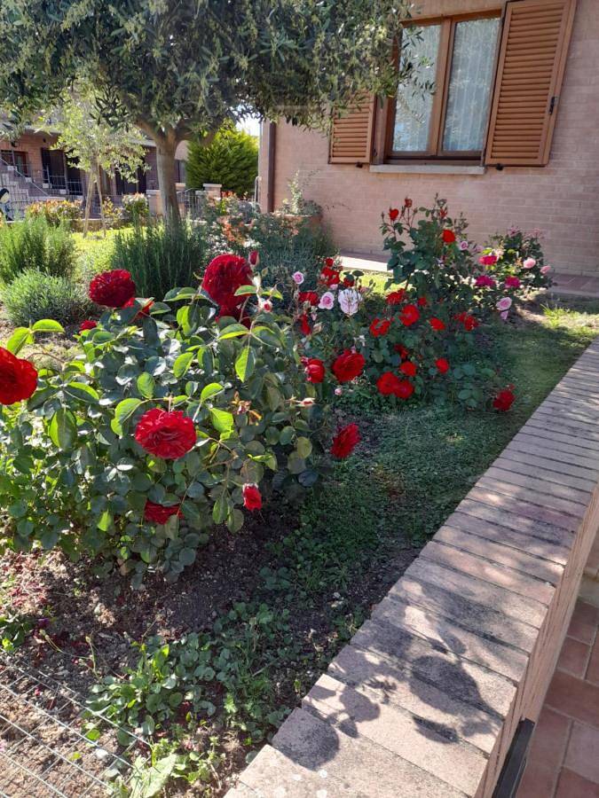 Gîte pour 2 personnes, avec jardin ainsi que vue et balcon dans Torrenieri