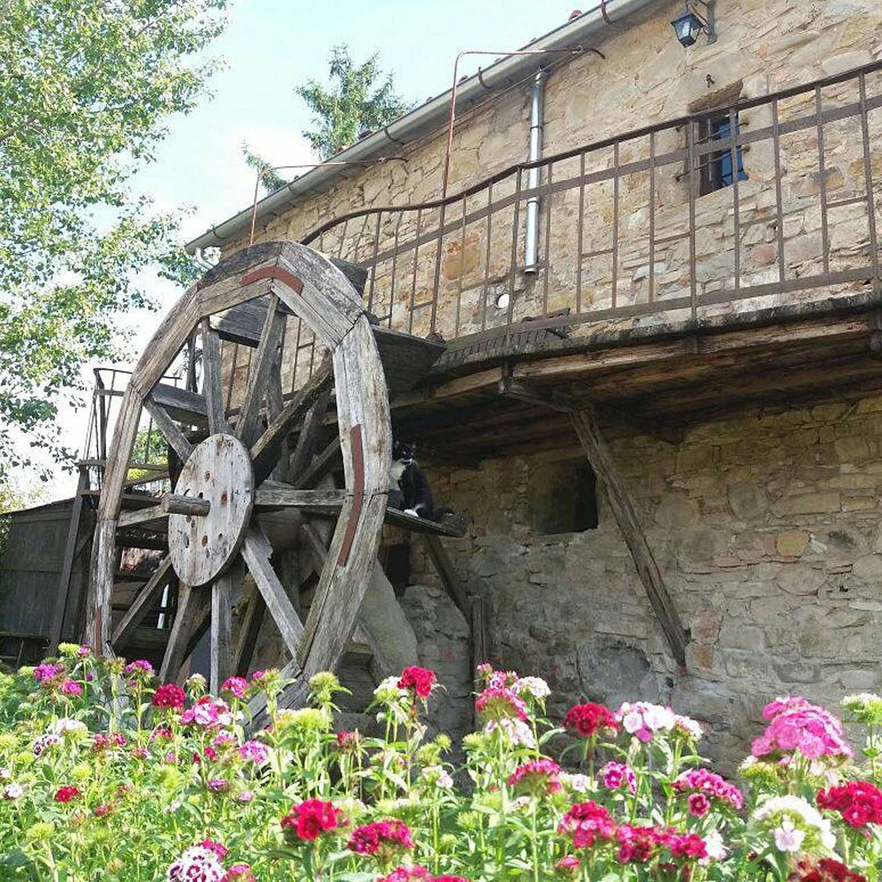 Ganze Ferienwohnung, Landgut "Il Molino" mit Terrasse und Garten in Poppi, Casentino