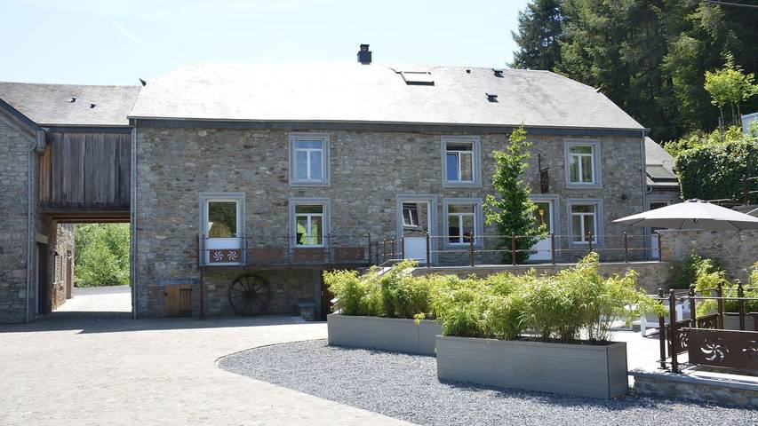 Gîte pour 9 personnes, avec jardin à Gedinne - 3