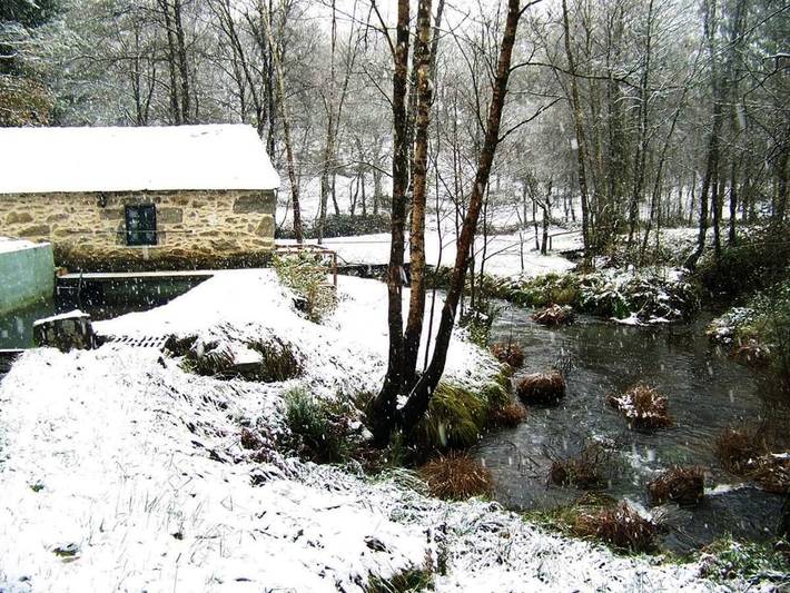 Casa rural para 3 personas, Se admiten mascotas en Provincia de Lugo - 3