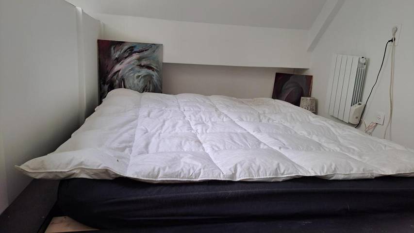 Villa pour 4 personnes, avec Terrasse à Paris - 3