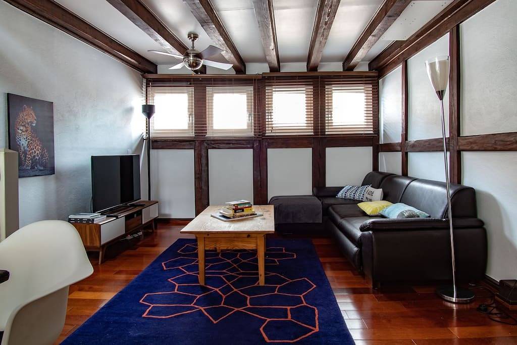 Geheel appartement, L'Or - Typical Alsacian apartment in Strasbourg in Straatsburg, Strasbourg regio